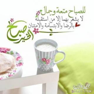 شقه لقطه مكان ممتاز