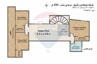 شقة دوبلكس للبيع 250 متر سيدي بشر خطوات من ش محمد