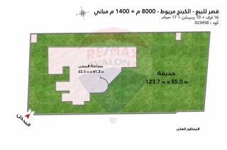 قصر للبيع 8000 متر كينج مريوط ش قرطبة