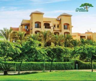 Apartment 245m fully furnished in Forty West for rent